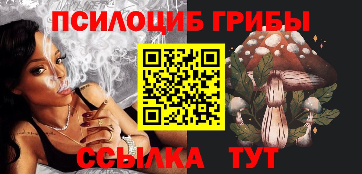 Галлюциногенные грибы MAGIC MUSHROOMS  Вход с VPN  Сочи 